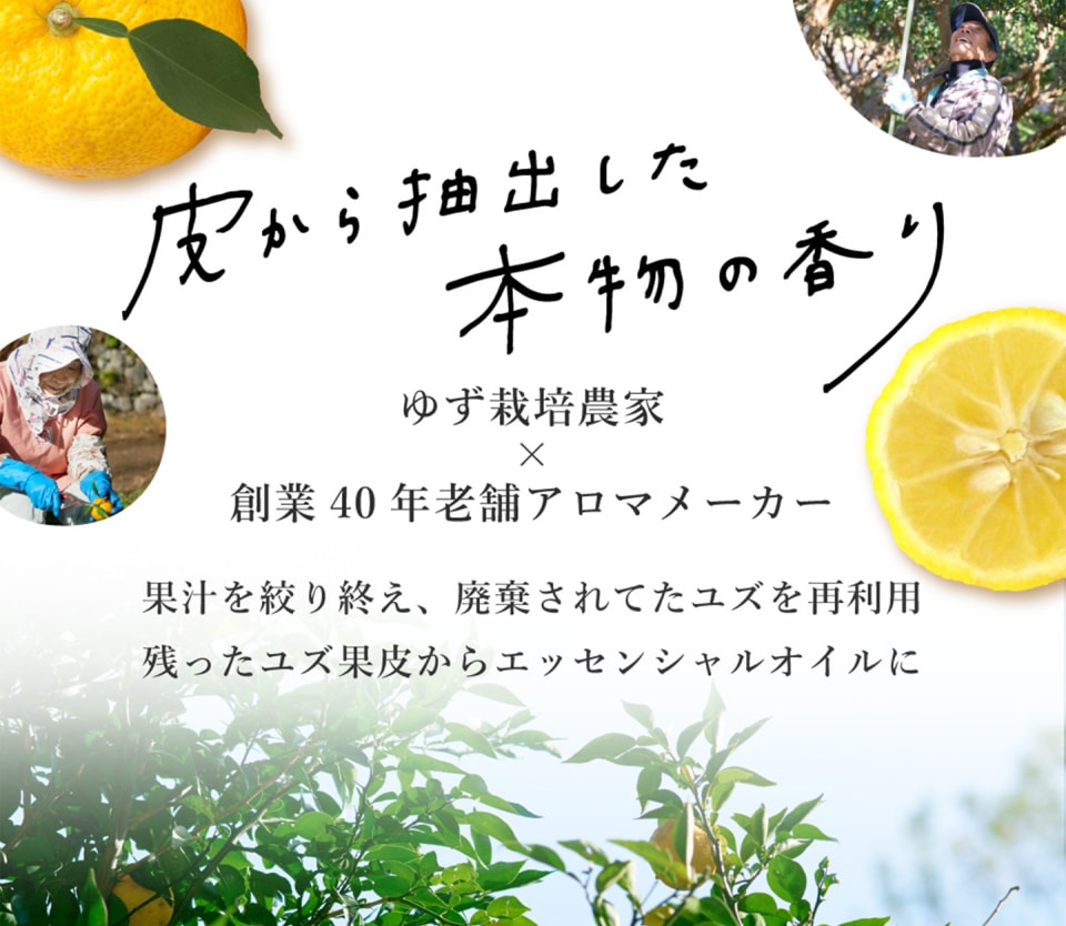 高知県産YUZU | 株式会社デイリーアロマジャパン