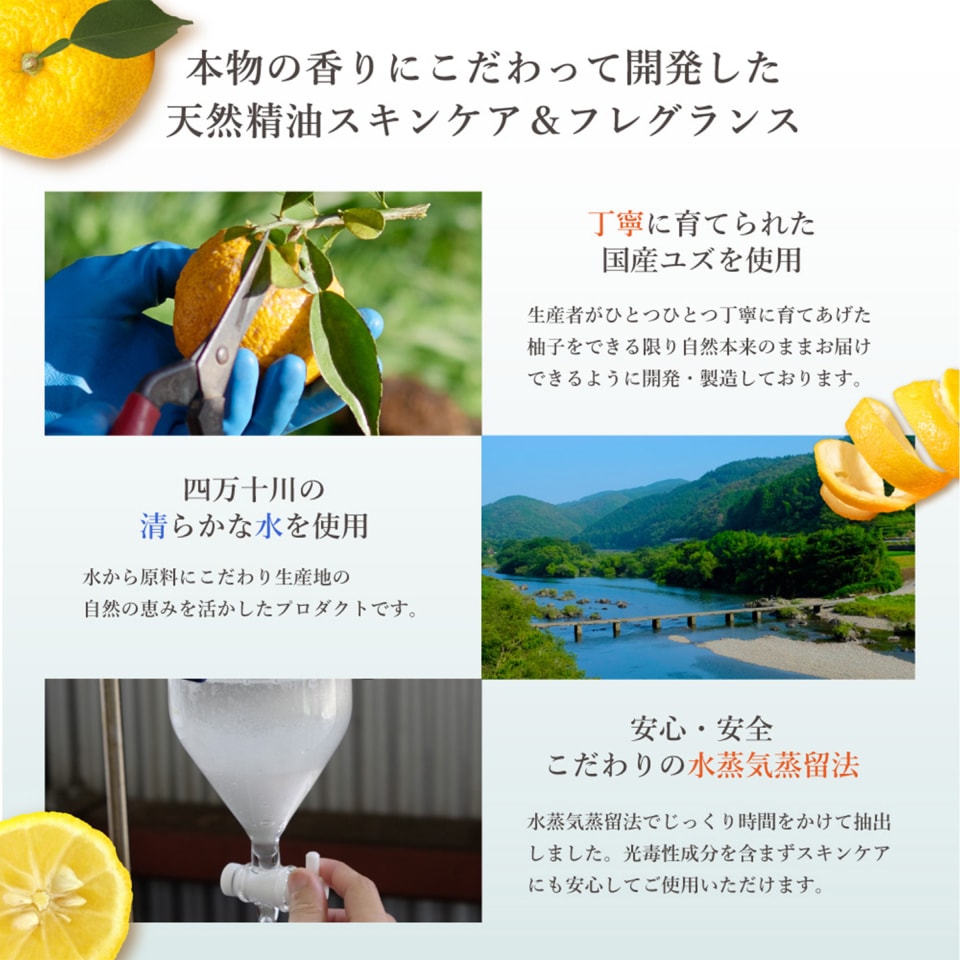 高知県産YUZU | 株式会社デイリーアロマジャパン